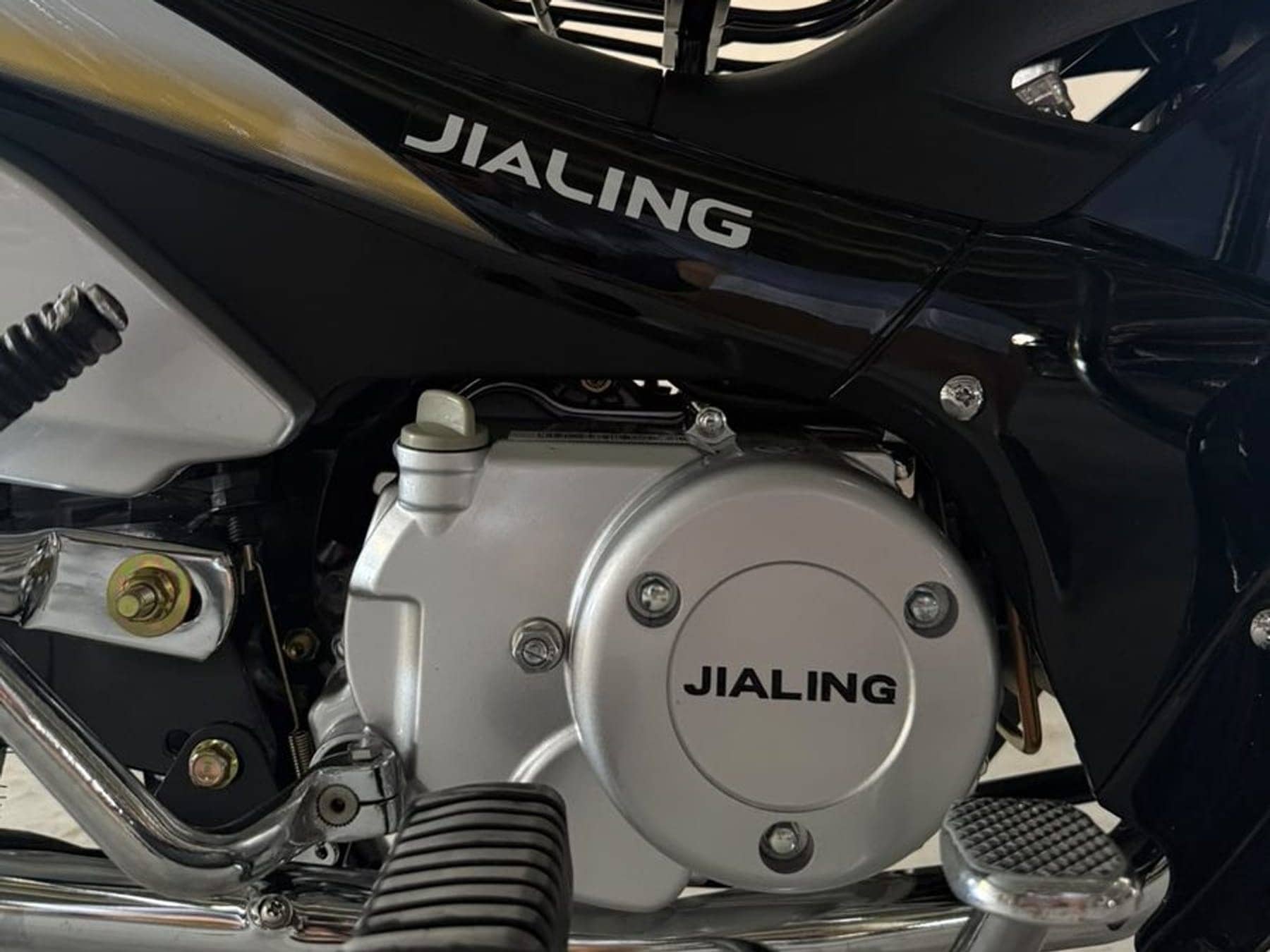 Engine casing of a new Jialing motorcycle, JIALING logo cast into the metal